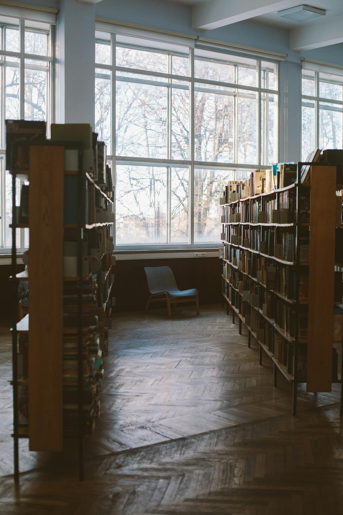 Quiet library interior with tall wooden bookshelves and natural light from a window—representing the scholarly resources and contemplative space for vocational discernment
