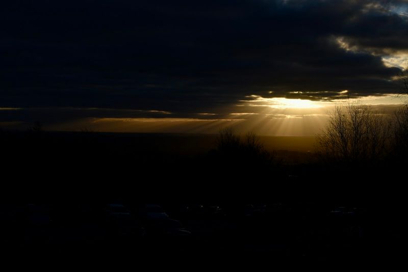 The Year of COVID-19 and Hope for the Future