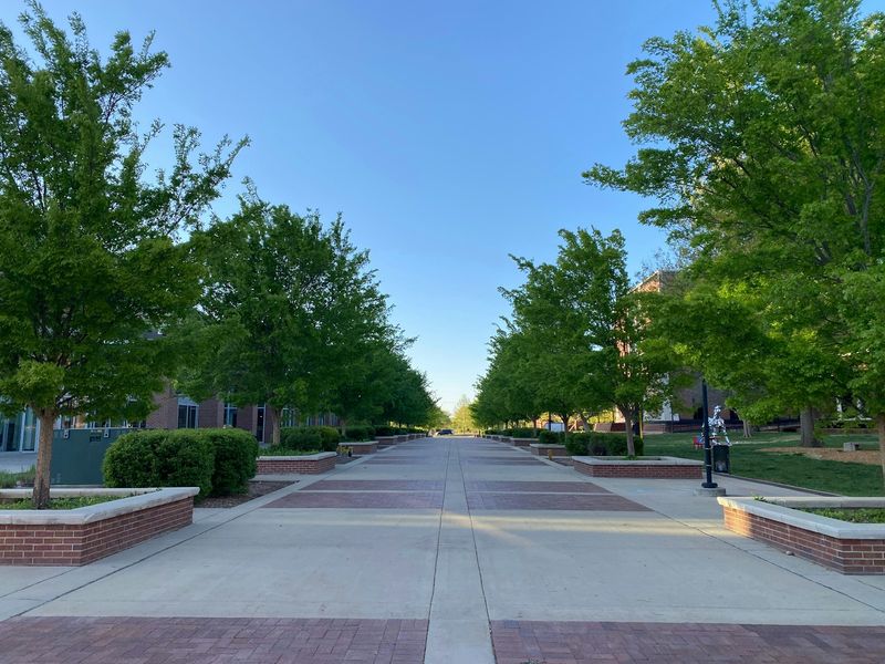 COVID, Yale, and a Brave New World