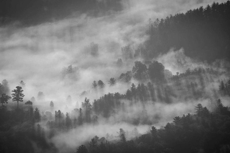 The 2015 Recipients of the Garrett Ham Scholarship