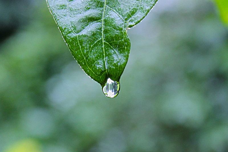 Featured image for How to File a Civil Appeal in Arkansas