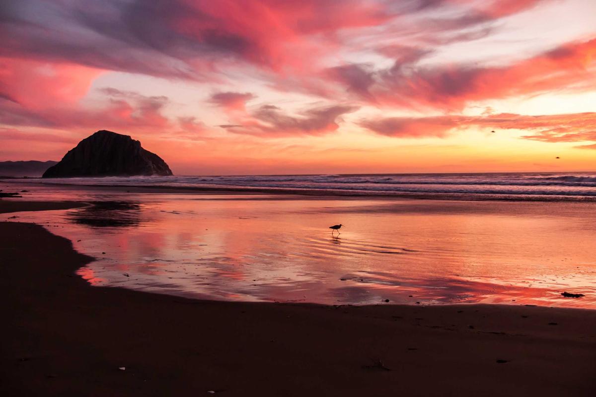 Featured image for Fiscal Law and Week 5 JAG School