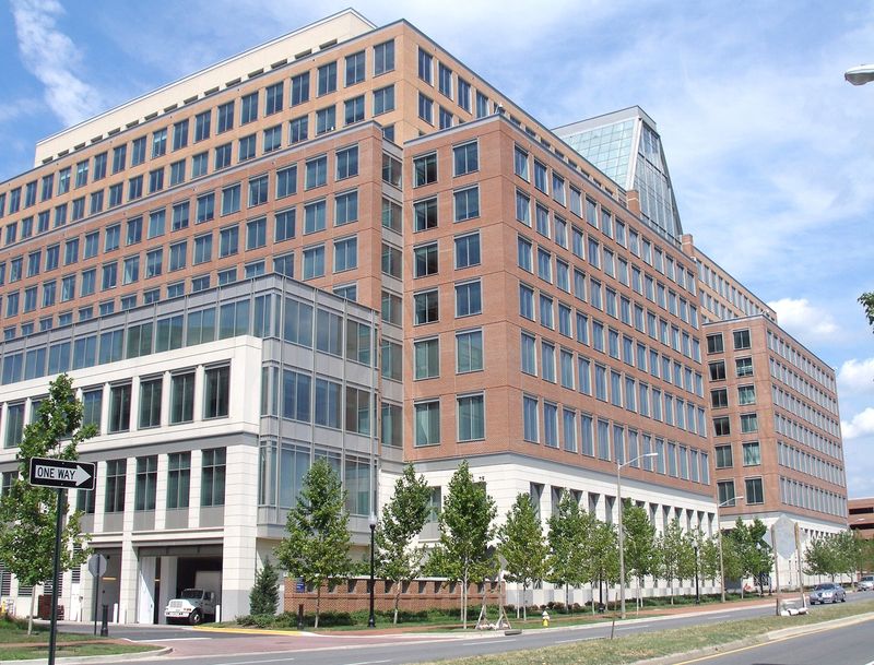 Maintaining a Trademark