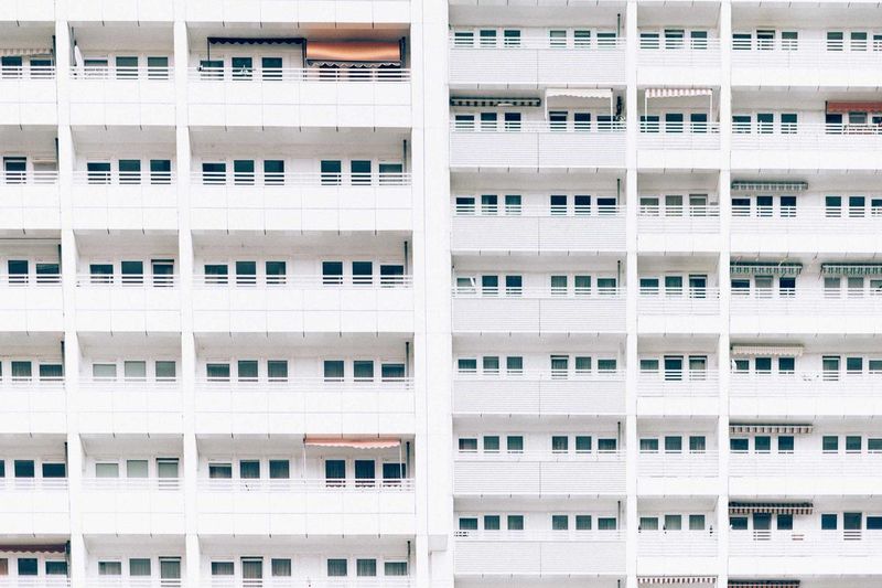 The Military and the Elite