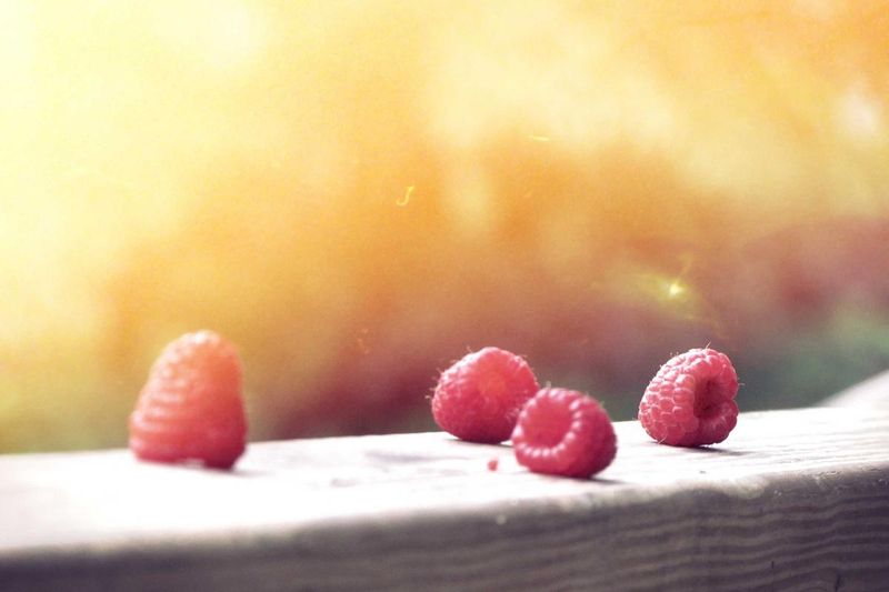 Featured image for The Notice of Appeal