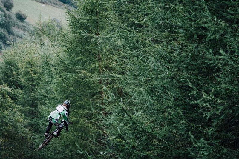 Religious texts and Hebrew books arranged behind glass on a wooden shelf, symbolizing the theological traditions and scriptural foundations central to James Cone's liberation theology